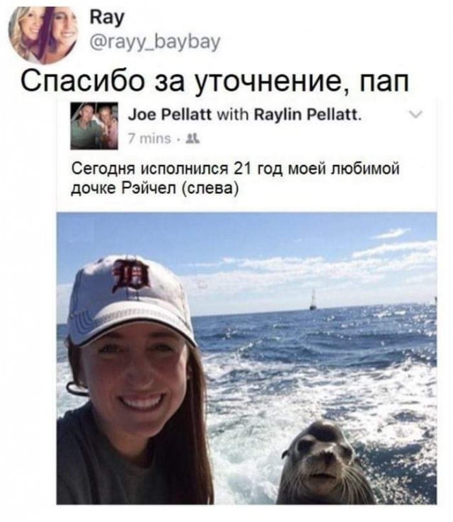 Подборка весёлых картинок
