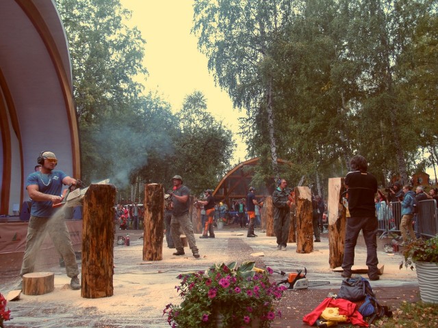 Божья коровка