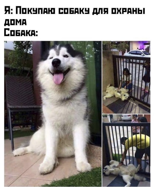 Немного картинок для настроения 25.12.19