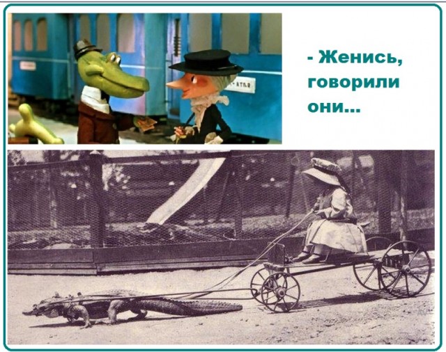 Картинки и мемы для настроения 07