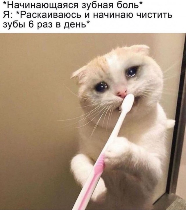 Немного картинок для настроения 28.01.20
