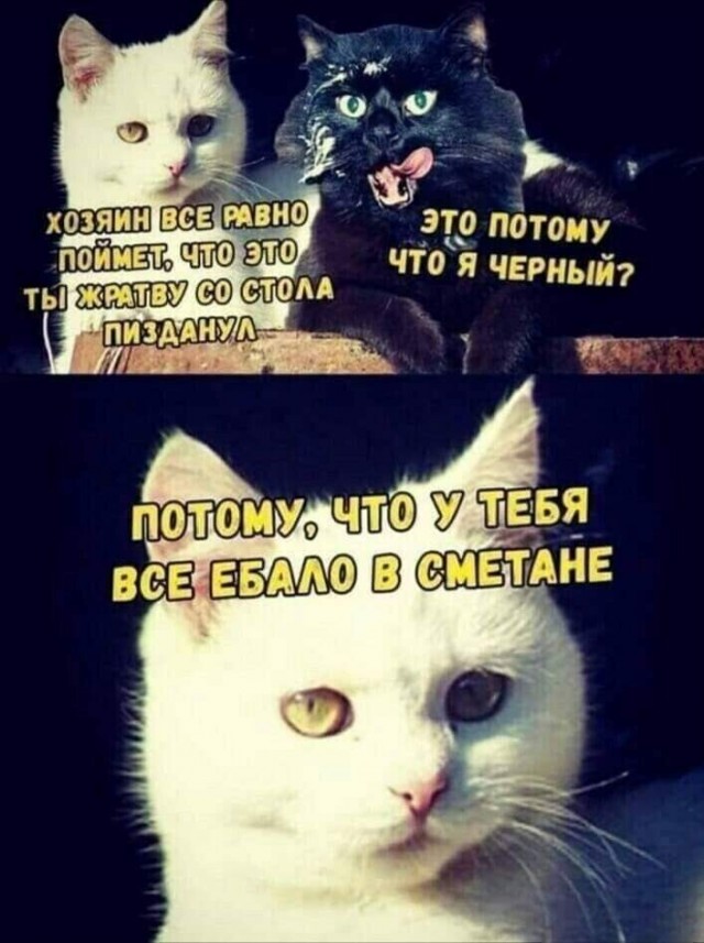 20 юморных картинок