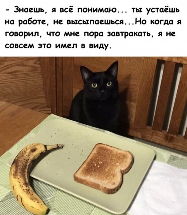 Мадам и месье бонжур