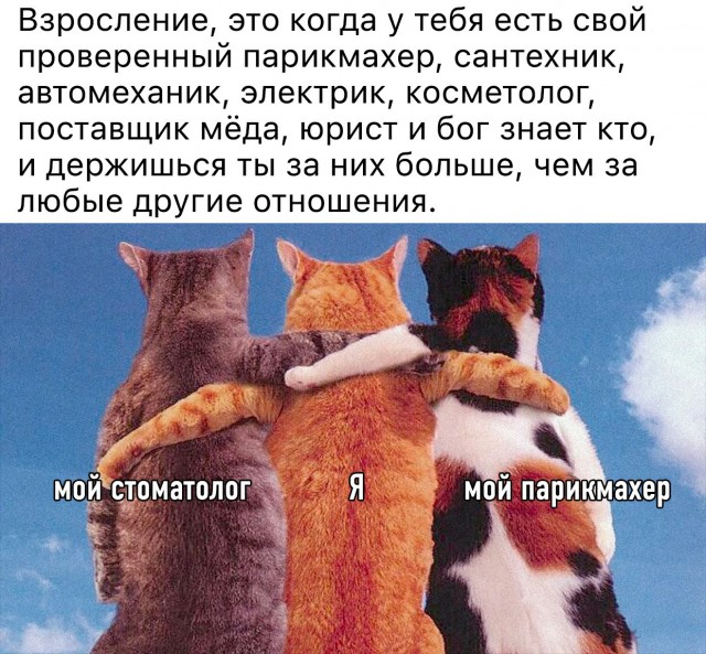Картинки и мемы для настроения