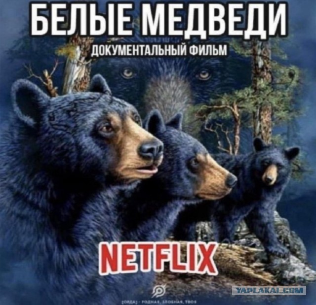 Разной степени баянности пикчи