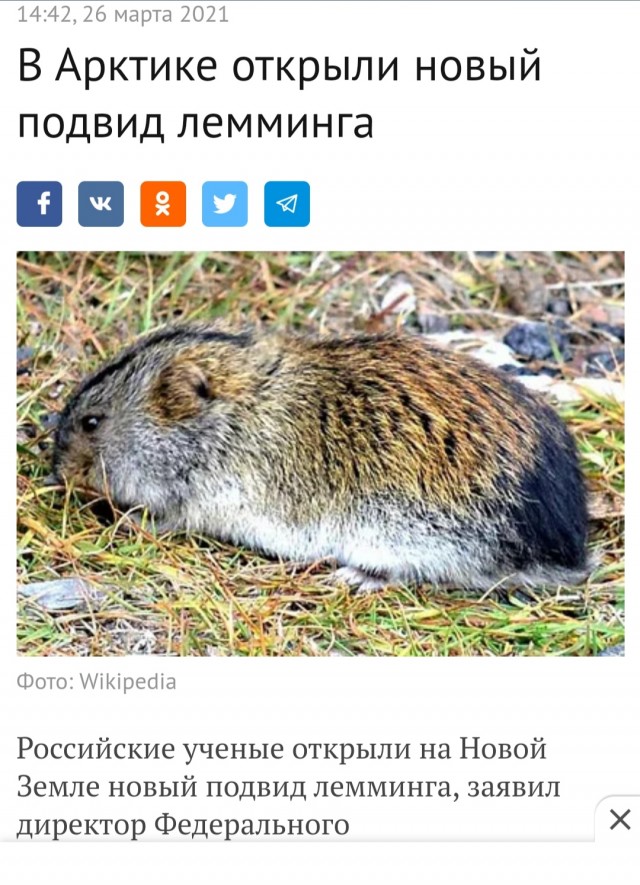 В контактном зоопарке в Екатеринбурге змея укусила пятилетнюю девочку