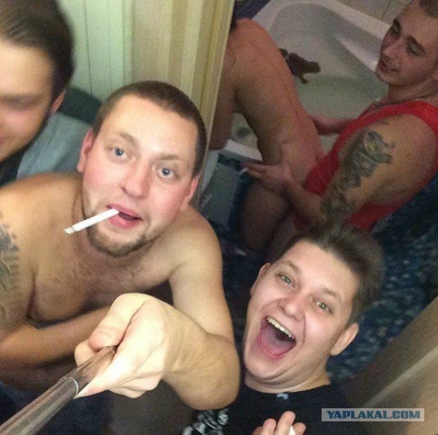 Скотсети и прочие интернеты 19.11.2021