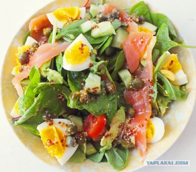 Солатеговая тема