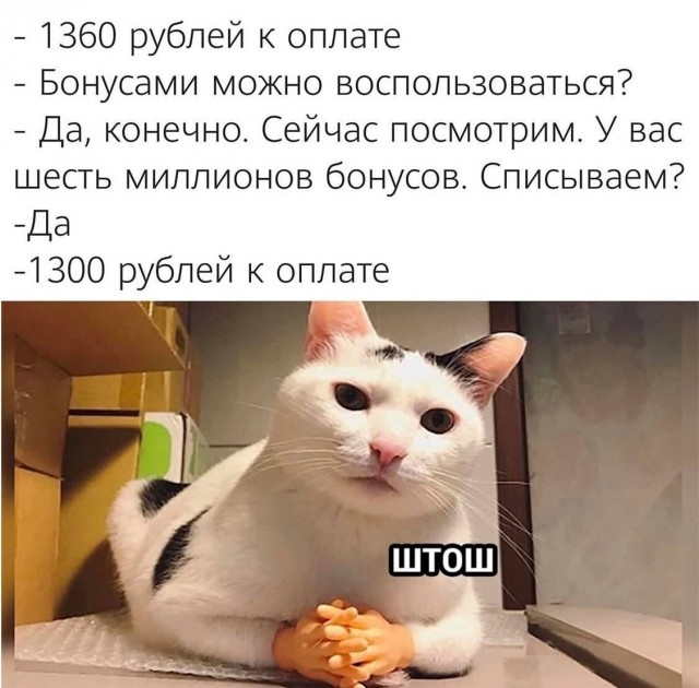 Всяческие картинки 31.01.2022