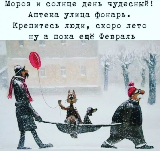 40 картинок разных 17.02.2022