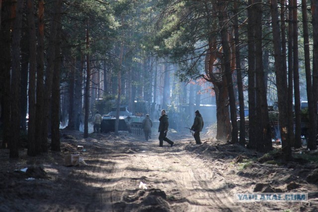 Российские десантники в лесах под Киевом