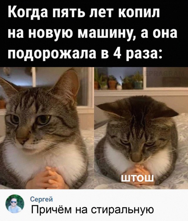 Просто картинки 24.03.2022