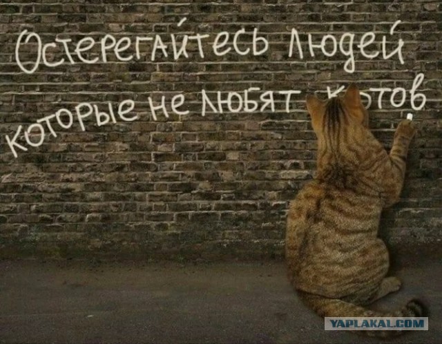 РСП