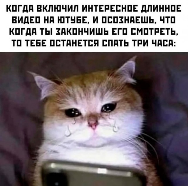 Картинки и мемы для настроения, выходные не за горами
