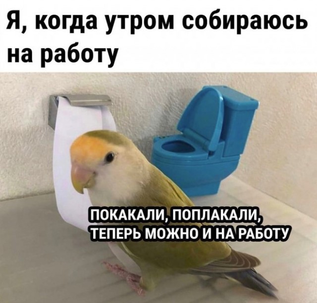 Картинки и мемы для настроения  - 31