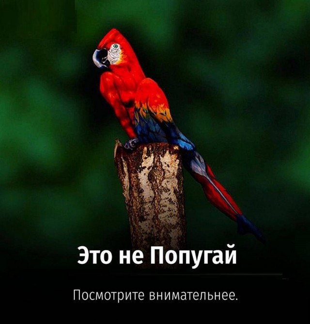 Картинки с надписями и всякие жизненные фразы