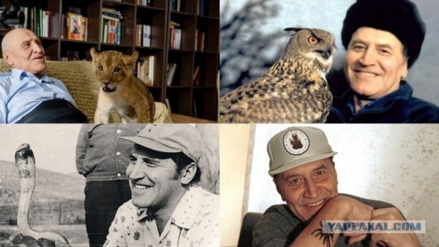 А у дяди Коли - юбилей!