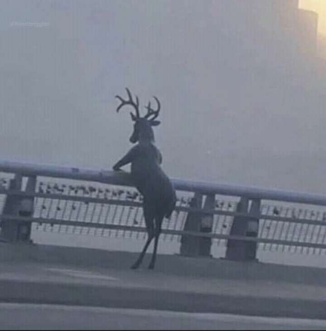 В Москве любовник выпал из окна, спасаясь от вернувшегося домой мужа
