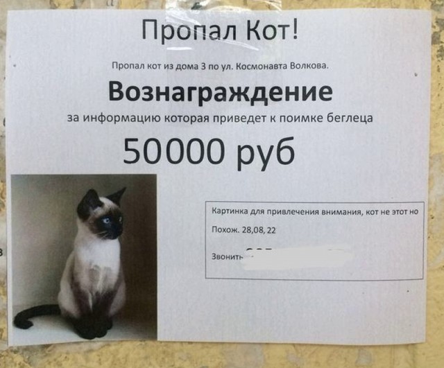 Немного картинок для настроения - 131