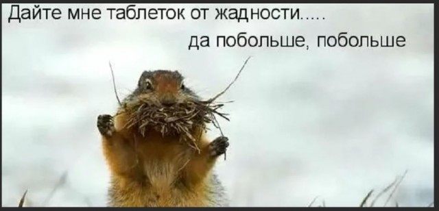 Пандемия съехавших крыш - разновидности болезни. Россия и мир. Часть 42.