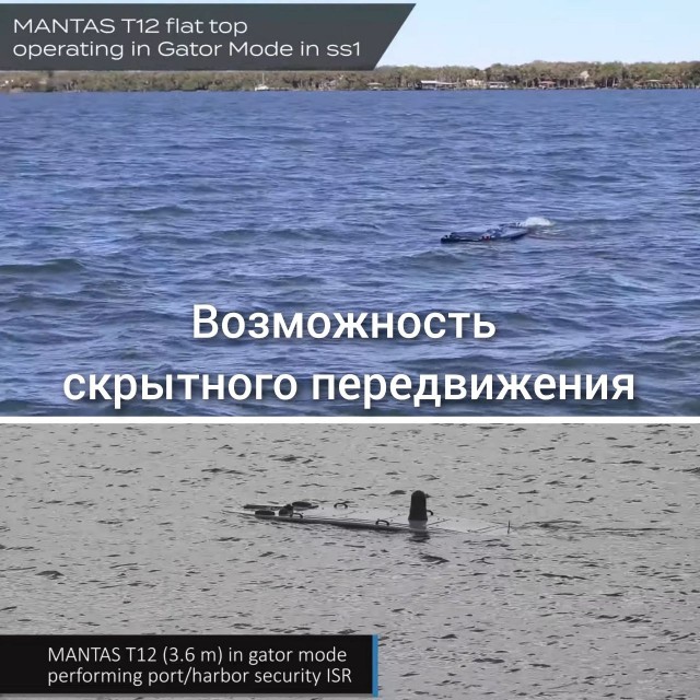 Пандемия съехавших крыш - разновидности болезни. Россия и мир. Часть 45.