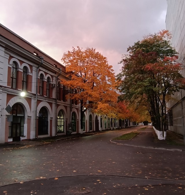 Фото с телефона