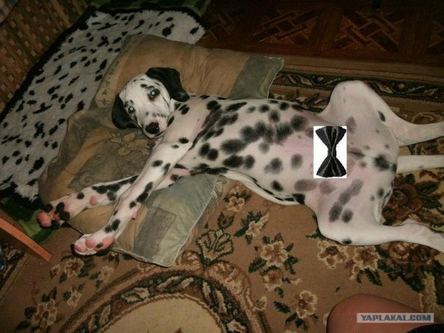 Что мне делать?Новосибирск-помогите.