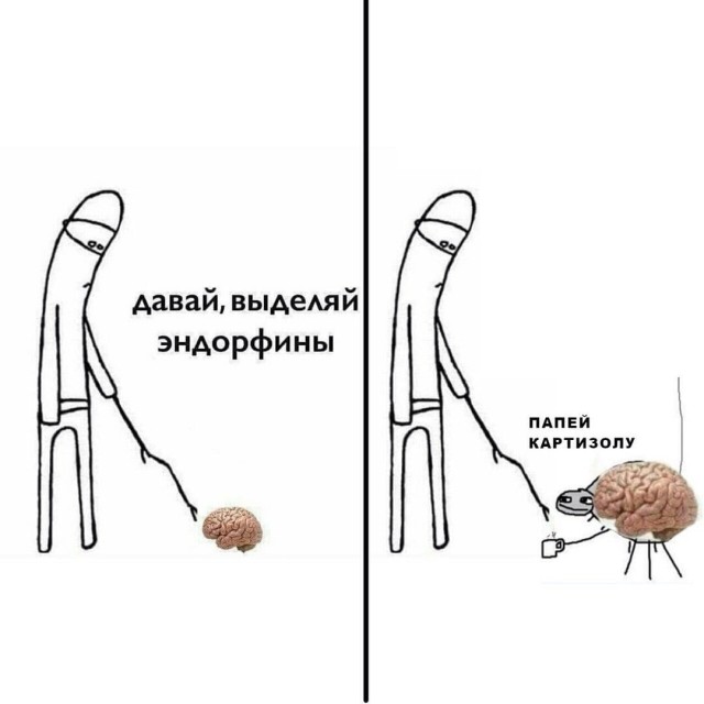 Немного мемчиков. Для взрослых. Часть 24