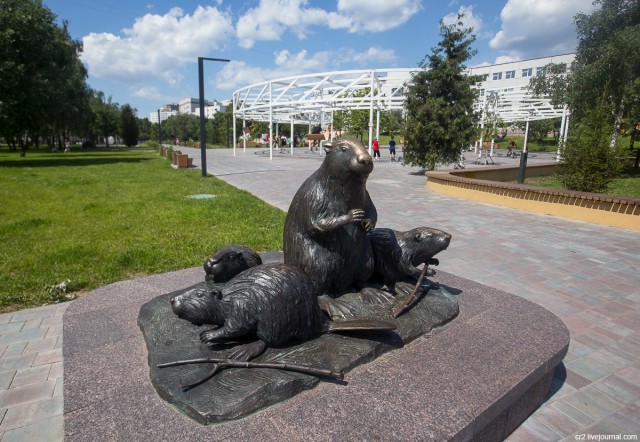 Дорога к бобру