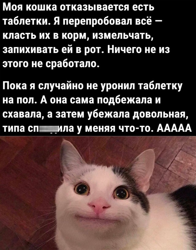 Так себе картинки 27.02.23