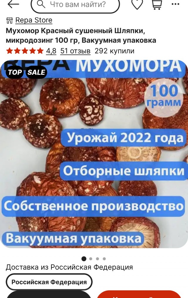 Подросток из Москвы решил бросить курить с помощью мухоморов.