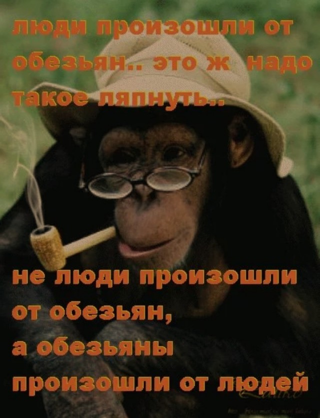Так стопэ!
