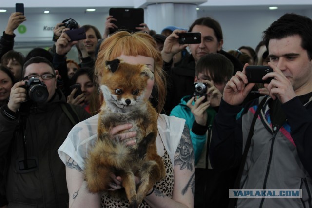 Ну что, кто доехал таки до упоротого лиса? :)