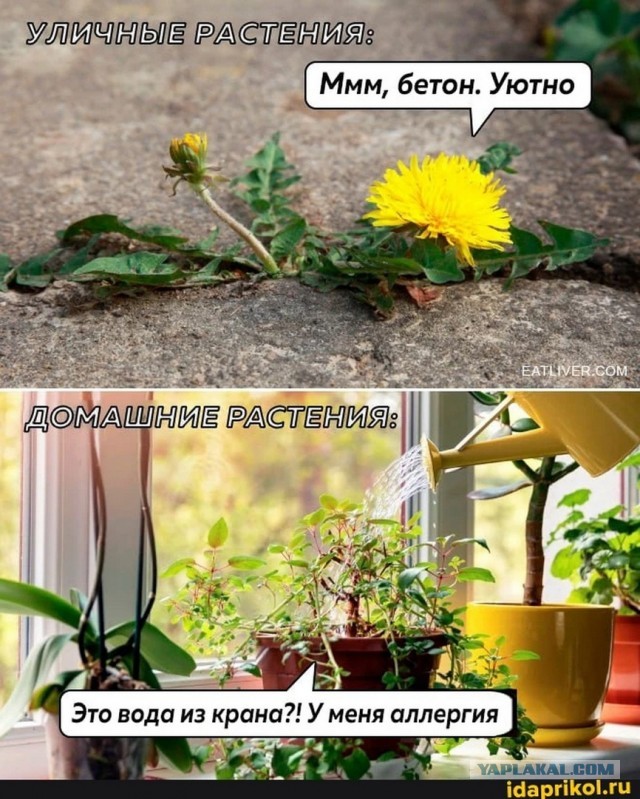Женская верность: миф или реальность?