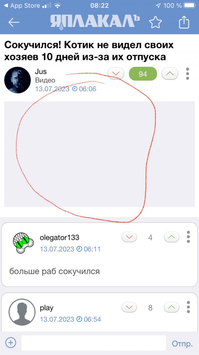 Сокучился! Котик не видел своих хозяев 10 дней из-за их отпуска