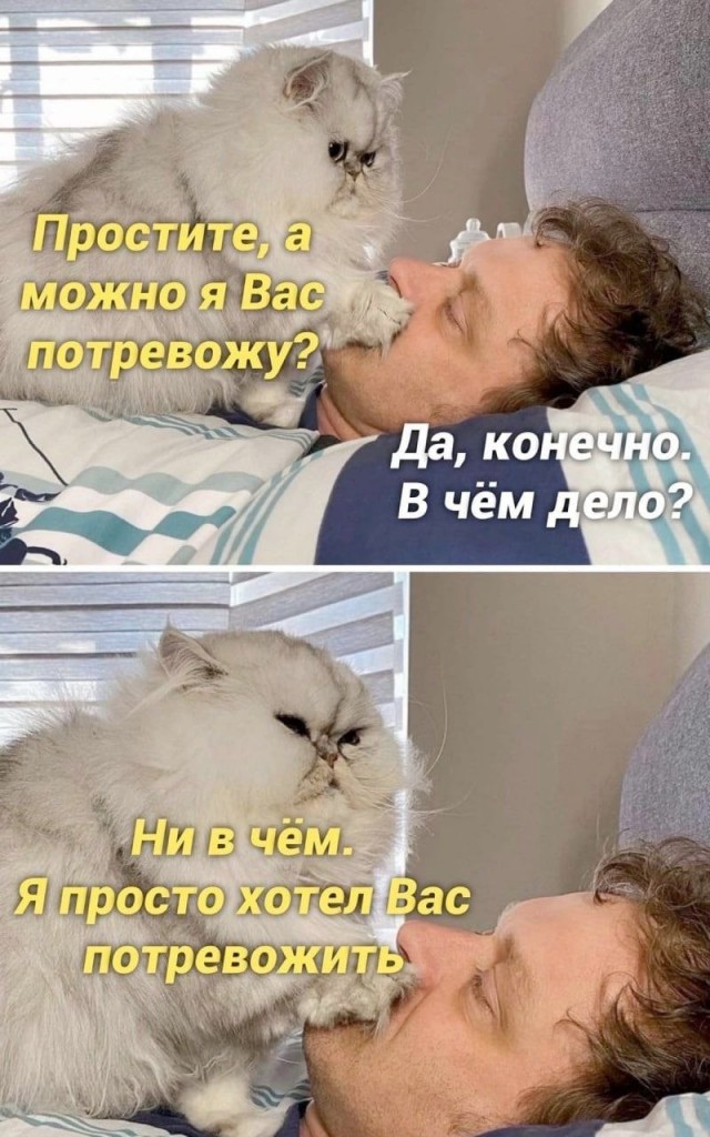 Так себе картинки 06.10.23