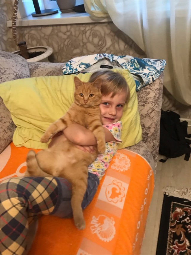 Подбирайте дворовых котят, из них получаются самые благодарные кошки