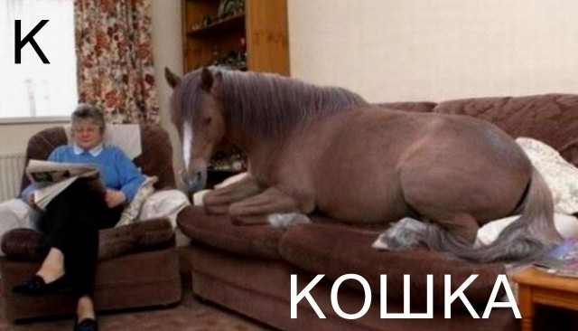 Так себе картинки 28.10.23
