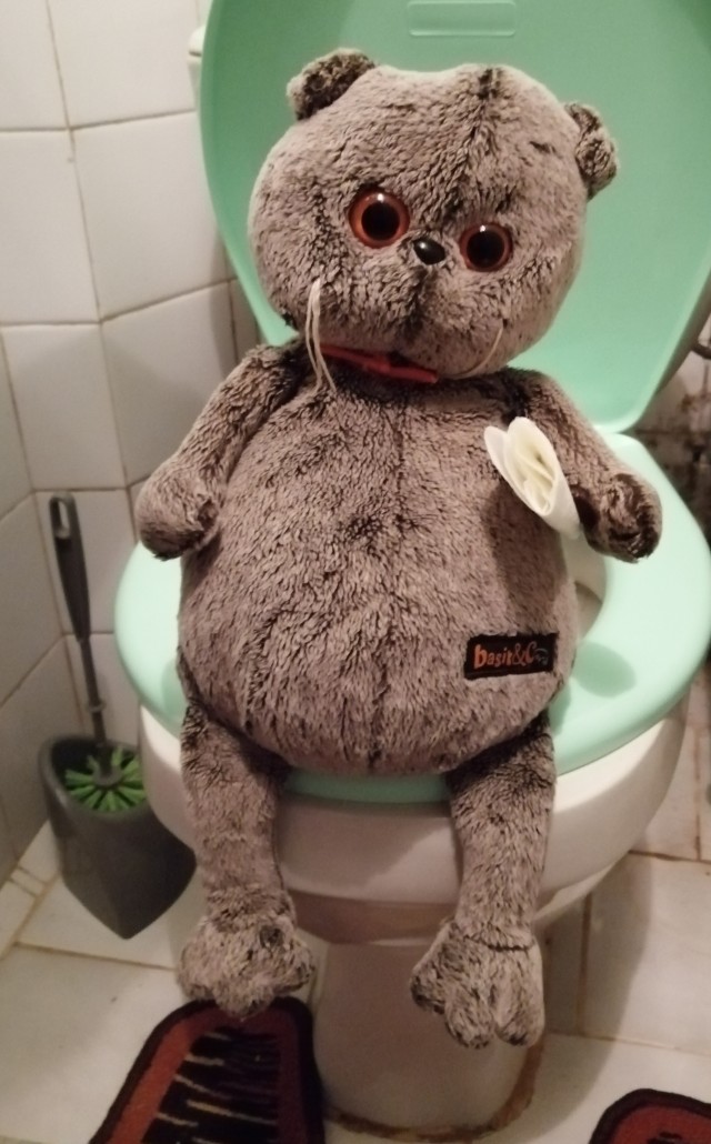 Котик скучает