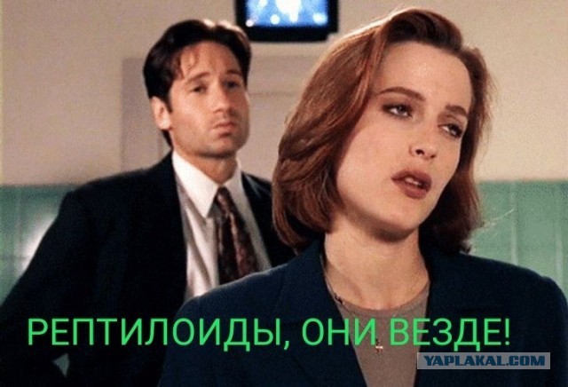 С Ивлеевой хотят взыскать миллиард рублей