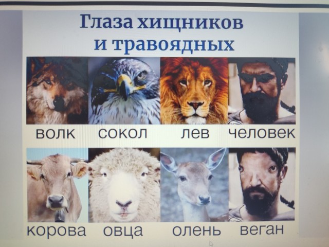 Семья веганов сдает анализы. Комменты огонь