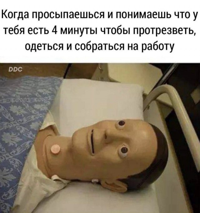 Тлидцать тли от 7 маЛта