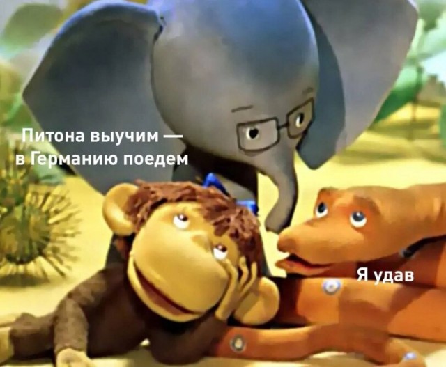 Весёлый полтишок 20.05.24
