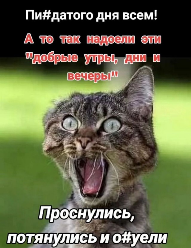 Завалялось тут случайно немного забавных картинок