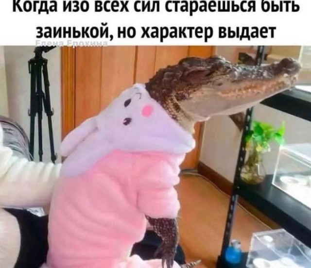 Завалялось тут случайно немного забавных картинок