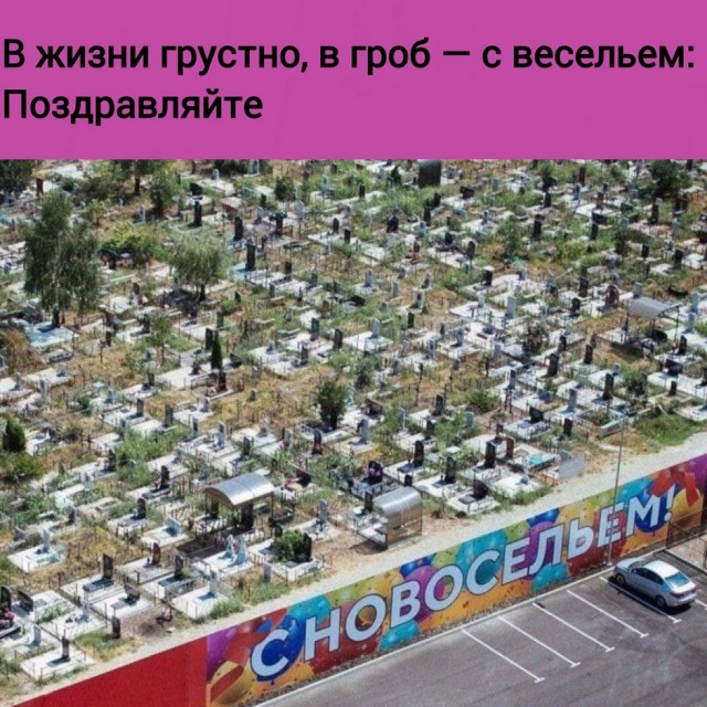 Так себе картинки 25.10.24