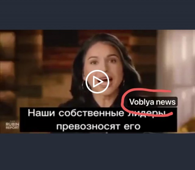 Будущий директор нацразведки США Тулси Габбард о Зеленском