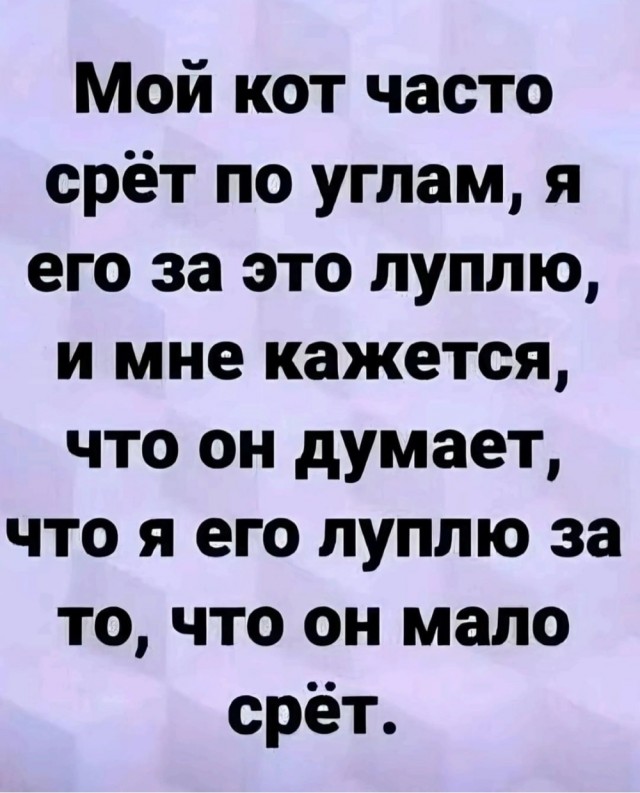 Так себе картинки 06.12.24