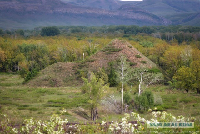 Хребет Дракона в Оренбургской области (фото)