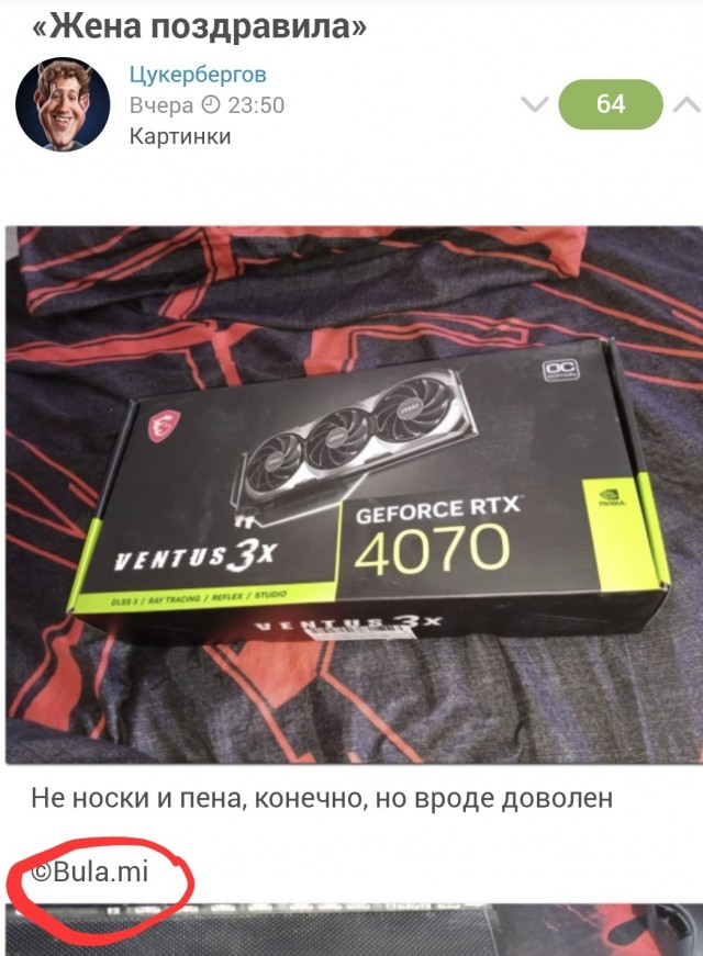 «Жена поздравила»